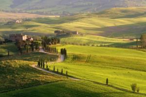 意甲联赛冠军杯,冠军的荣耀与挑战意甲联赛冠军杯